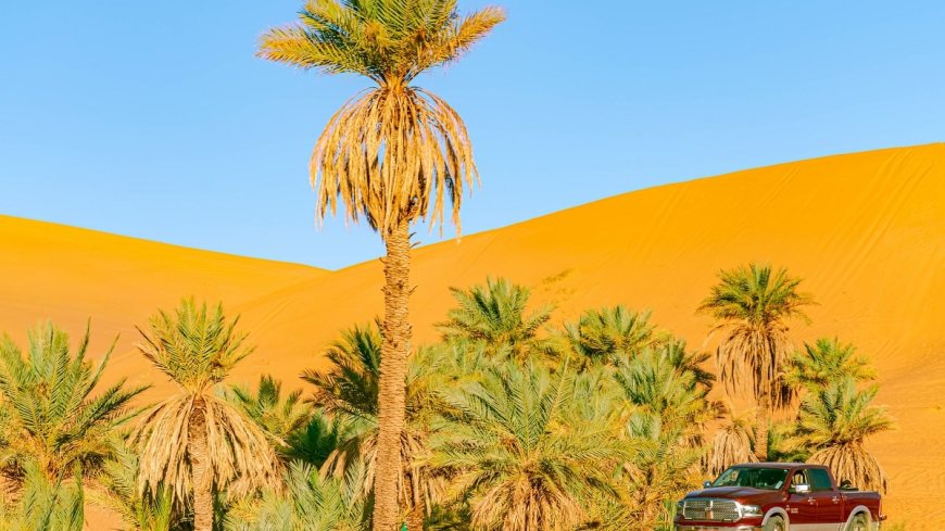 Voyage en Algérie : voici les 3 circuits proposés par Leclerc Voyages