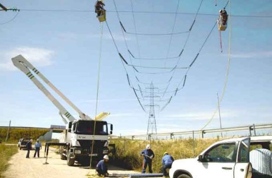 Oran : 638 exploitations agricoles raccordées au réseau électrique