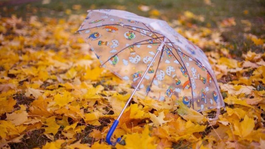 Alerte météo en Algérie : la pluie va-t-elle persister ce mercredi 4 septembre ?