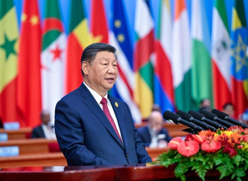 Sommet du Forum sur la coopération sino-africaine : Xi Jinping exhorte au développement d’un partenariat solide