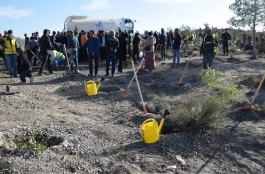 Lancement prochain d’une opération de reboisement à Khenchela