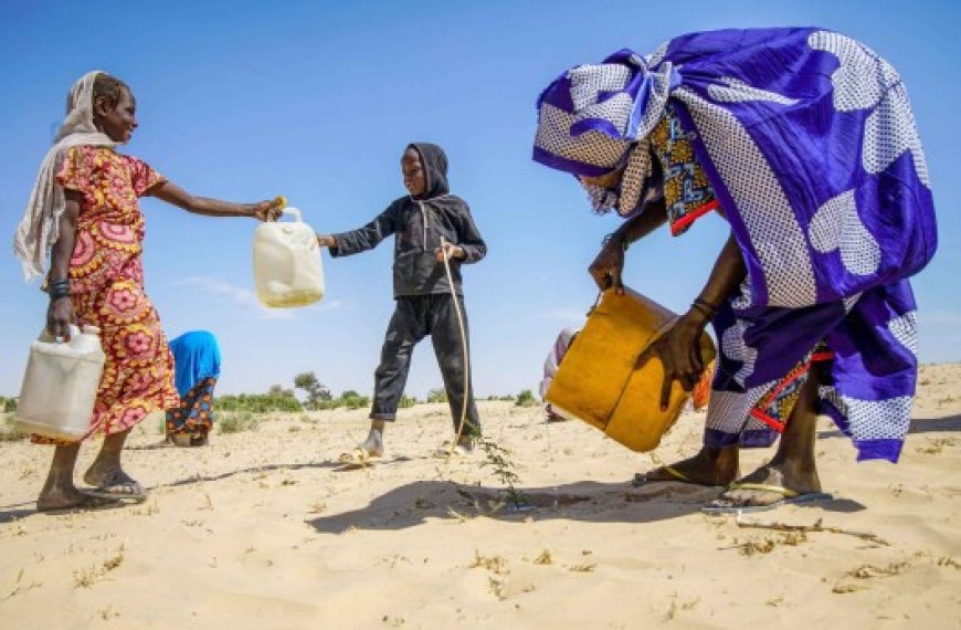 Alors qu’ils peinent à accéder aux financements : Les phénomènes climatiques coûtent 2 à 5% du PIB aux pays africains