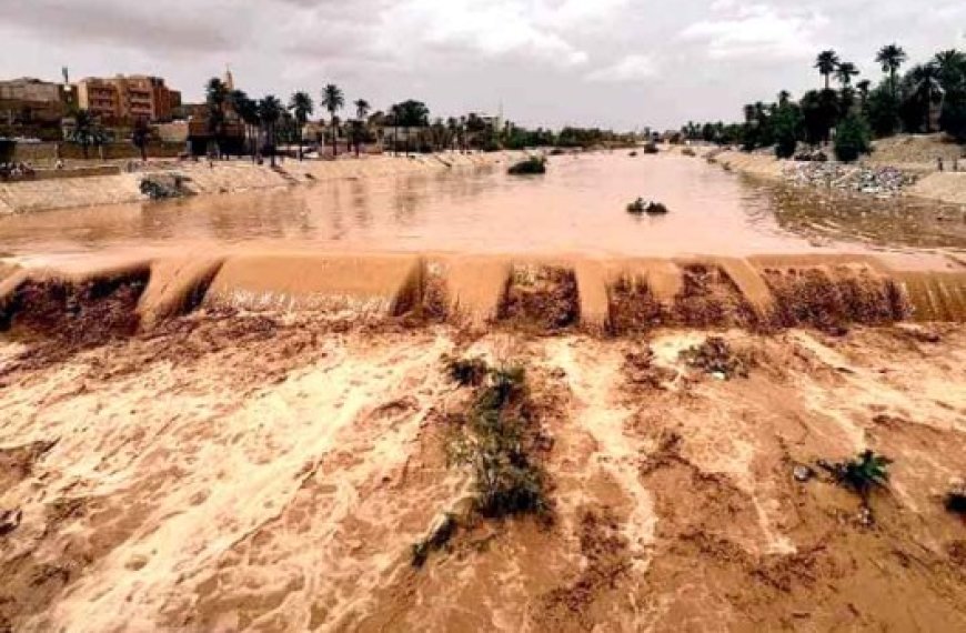 Crue des oueds à Béchar et Aïn Sefra : Des régions du Sud touchées par des inondations