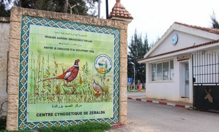 Préservation du gibier en Algérie : reproduction de 6700 perdrix gambra au Centre cynégétique de Zéralda en 2024