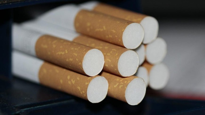 Algérie : saisie de cigarettes dans les bagages de passagers vers la France