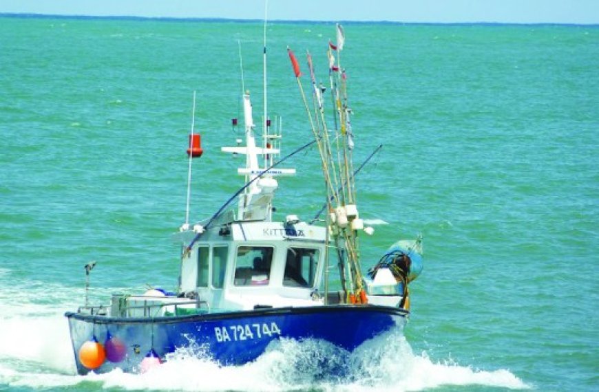 Bateaux de plaisance à Boumerdes  : 250 demandes de changement d’activité