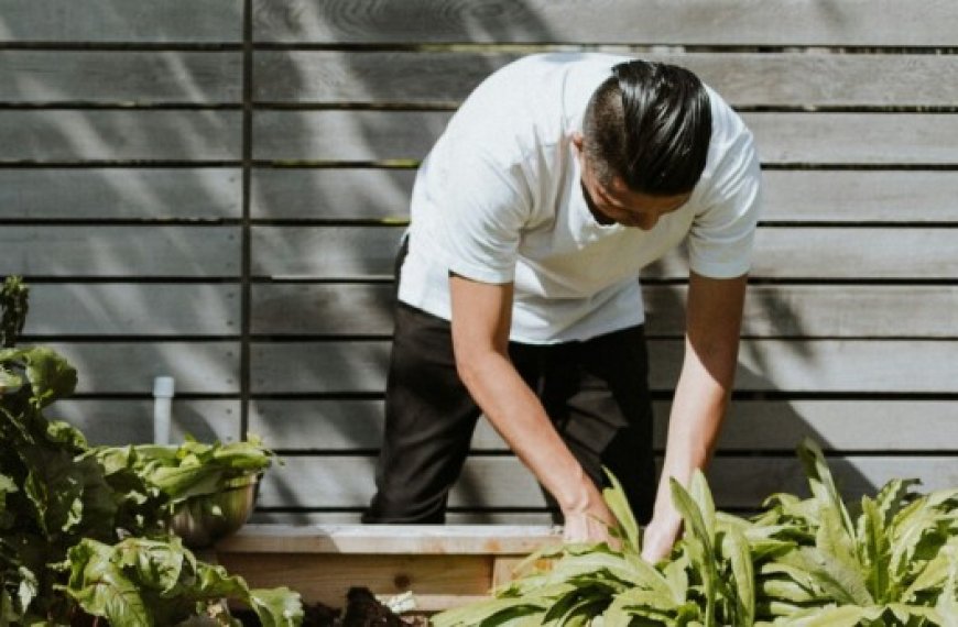 Voici pourquoi le jardinage est si bon pour le corps et l’esprit