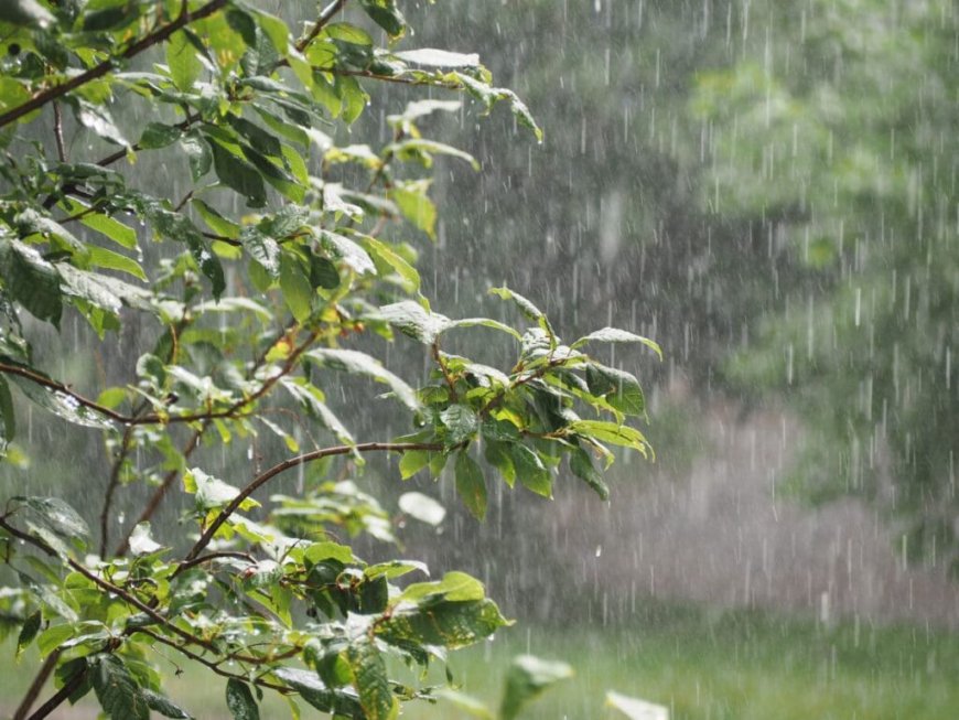 Alerte météo en Algérie : pluies attendues dans plusieurs wilayas ce mardi 17 septembre