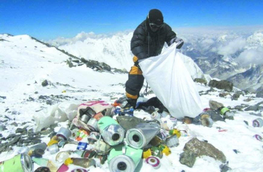 Trois COP et un traité sur le plastique : Fin d’année chargée pour l’environnement