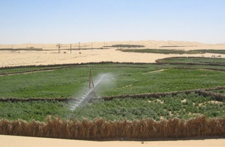 Agriculture des régions sahariennes : La nécessaire maîtrise des ressources hydrauliques agricoles