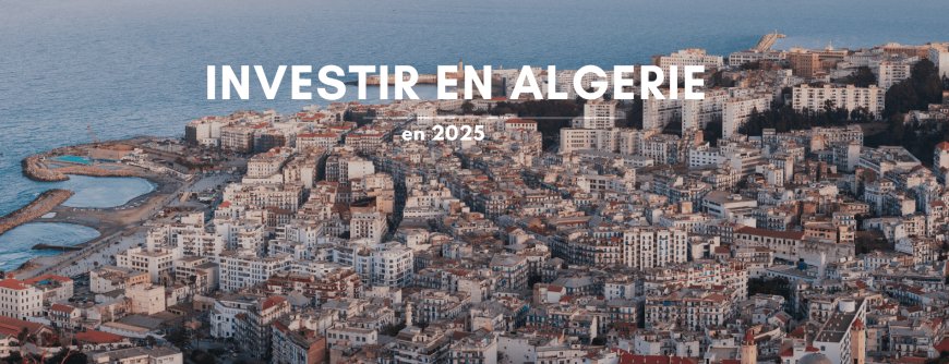 5 secteurs à investir en Algérie en 2025