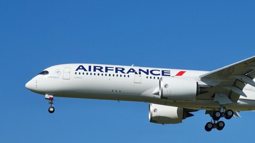 400 € pour récupérer ses bagages : la mésaventure d’un passager Air France vers l’Algérie