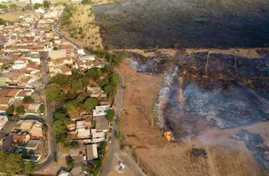 Brésil : Les incendies hors norme inquiètent  le secteur agricole