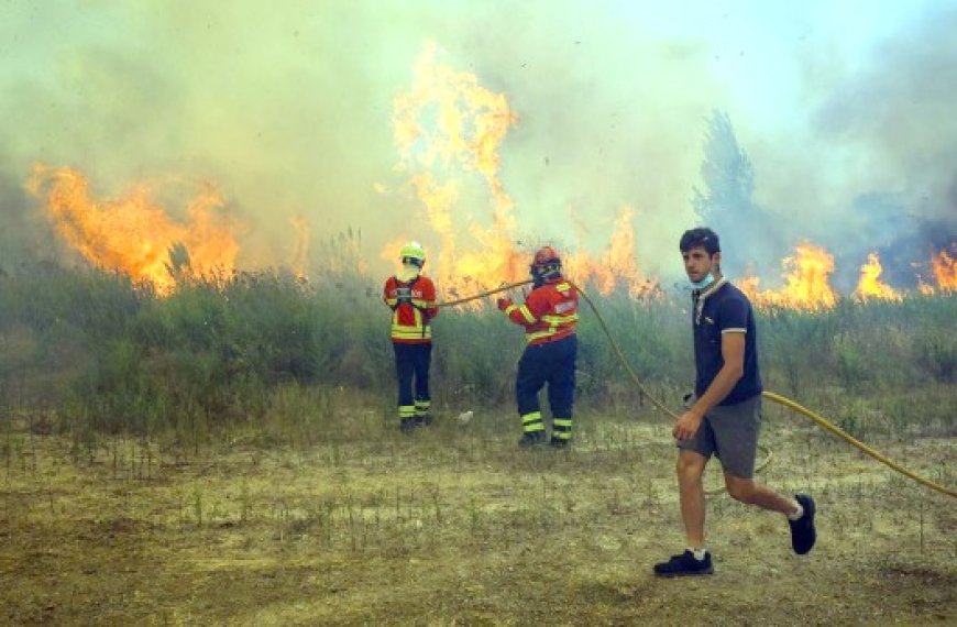 Plus de 3500 pompiers mobilisés : Le Portugal toujours en proie  à de violents feux de forêt