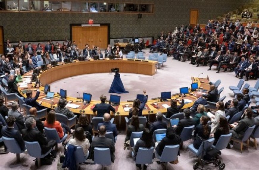 Réunion de l’AG de l’ONU sur la colonisation : Israël et ses alliés opposés à la résolution palestinienne