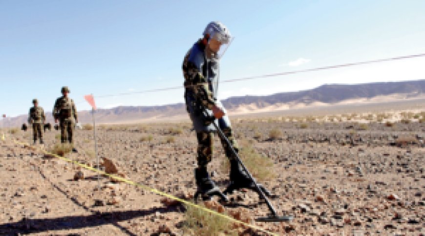 Genève : l’appel de l’Algérie pour l’élimination des mines antipersonnel