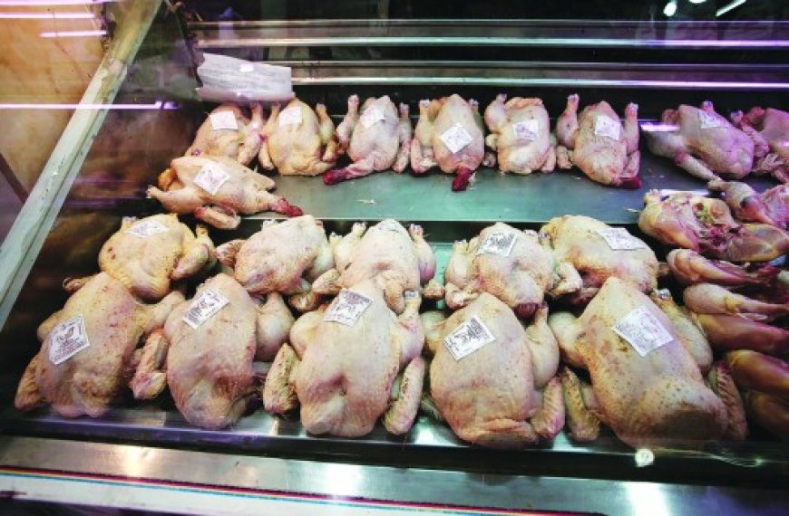 Tiaret : Déstockage de poulets congelés pour réguler les prix