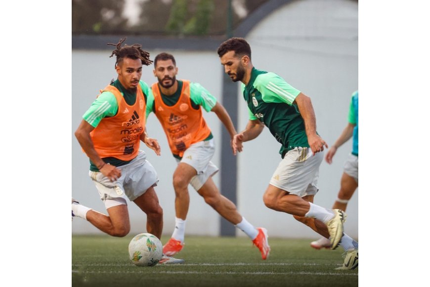 Du changement pour Togo-Algérie 