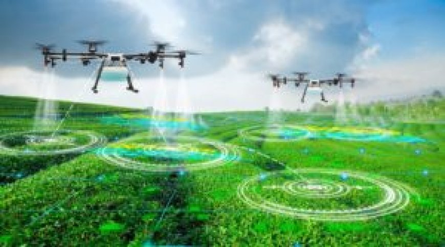 Intelligence artificielle dans l’agriculture : un projet algérien intéresse la Nasa et les Chinois