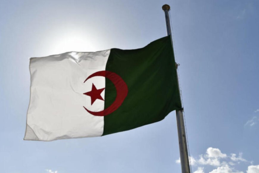 L’Algérie dépose une plainte contre l’eurodéputée d’extrême droite Sarah Knafo