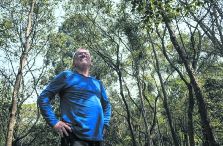 Du vert sur le béton à Sao Paulo… : Le pari fou d'un Brésilien