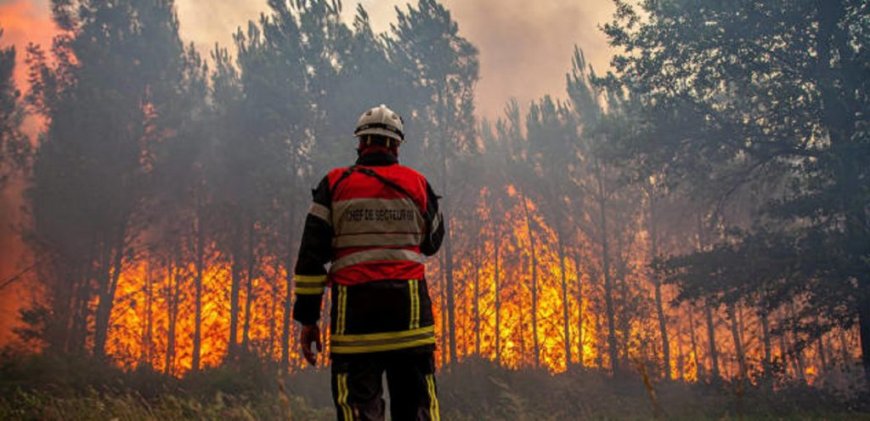 Retour des incendies dévastateurs : 6 wilayas touchées par les feux de forets ce 26 septembre