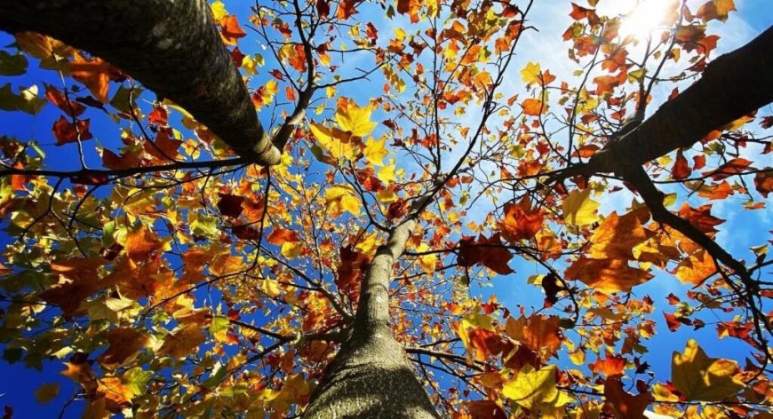 Météo Algérie : entre pluie et soleil, quelles sont les prévisions pour ce samedi 28 septembre ?