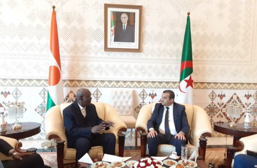 Le ministre nigérien du Pétrole en visite en Algérie : Coopération énergétique et projet du gazoduc transsaharien au menu