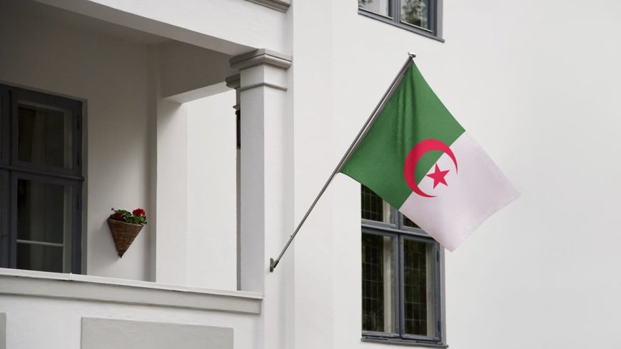 Vidéo. Une Française partage sa joie de recevoir son premier titre de séjour algérien