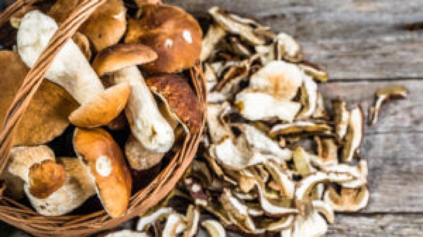 Quels sont les meilleurs champignons pour la santé ?