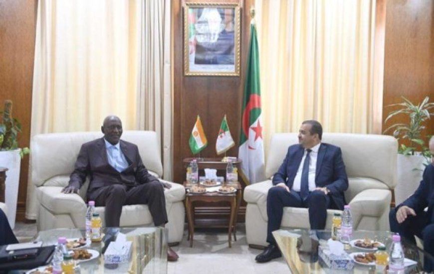 Réunion prochaine entre l’Algérie, le Niger et le Nigeria : Nouvel élan pour le gazoduc transsaharien  