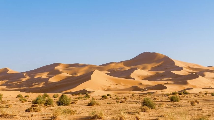 Vidéo. Événement rare et exceptionnel : le Sahara algérien devient verdoyant