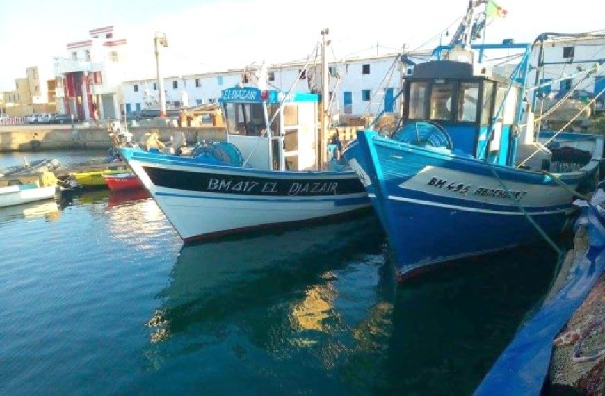 Secteur de la pêche à Boumerdès  : Des projets ambitieux en perspective