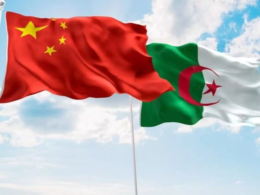 La Chine souhaite élever son partenariat avec l’Algérie